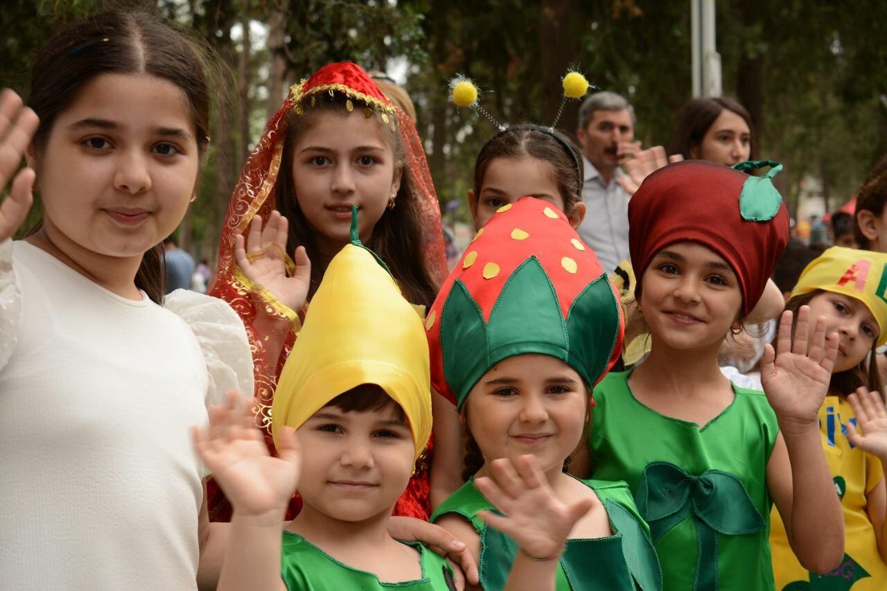 Azərbaycanda ilk dəfə “Albalı və gilas” festivalı keçirilib
