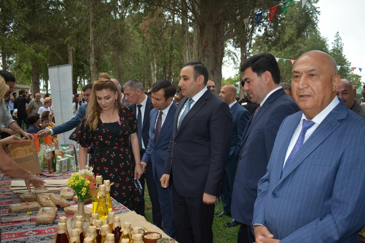 Azərbaycanda ilk dəfə “Albalı və gilas” festivalı keçirilib