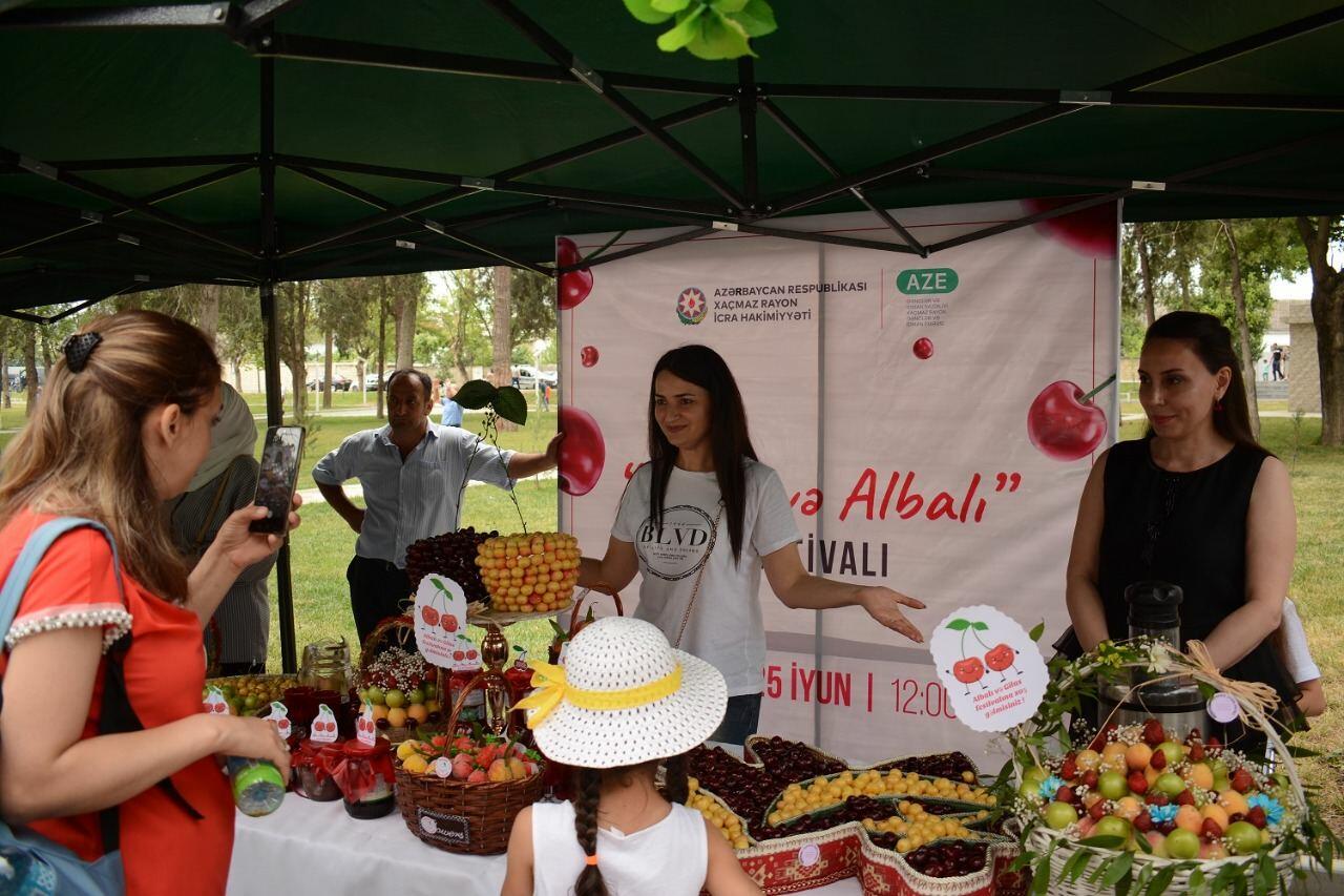 Azərbaycanda ilk dəfə “Albalı və gilas” festivalı keçirilib