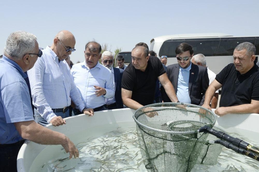 Zəngilanda bir günün on illərə bərabər təəssüratları
