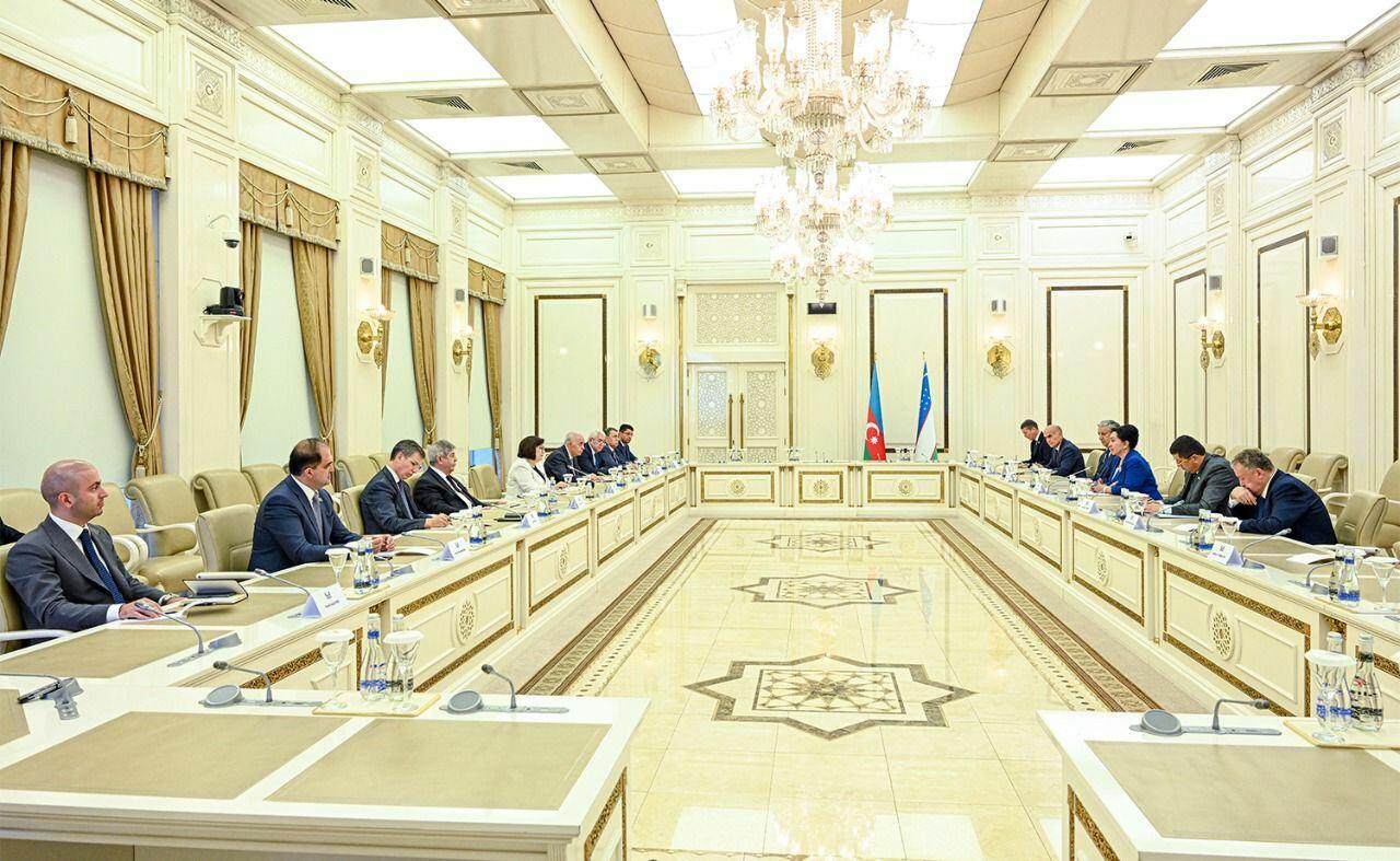 Sahibə Qafarova Özbəkistan Ali Məclisi Senatının sədri ilə görüşüb