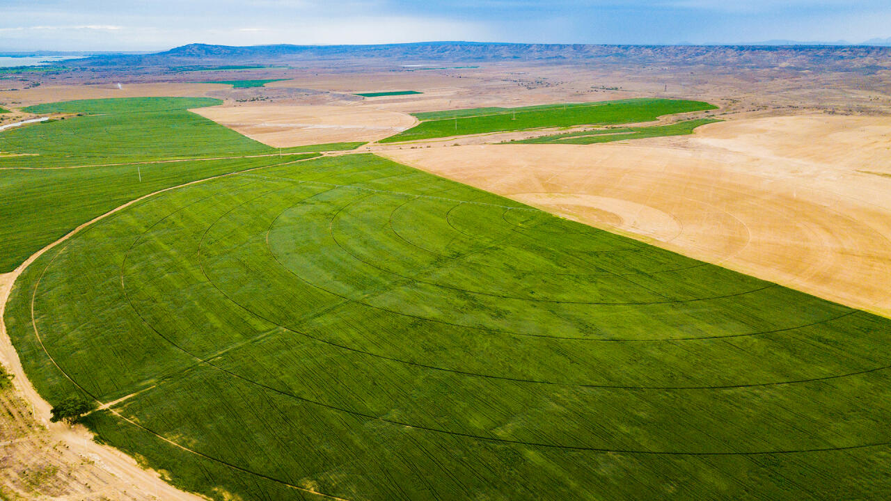 “AgroTrade Supply” yeni layihəsi ilə diqqət mərkəzində