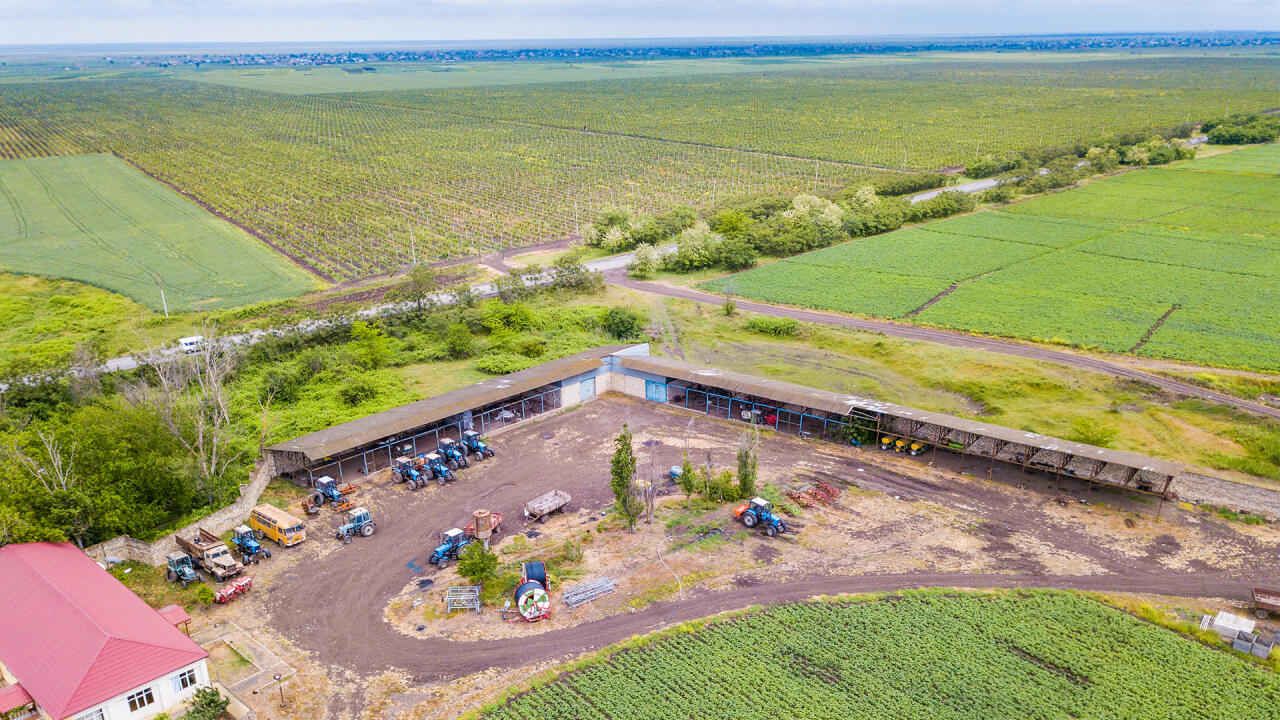 “AgroTrade Supply” yeni layihəsi ilə diqqət mərkəzində