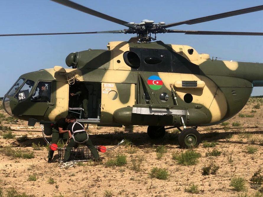Азербайджанские и турецкие военнослужащие провели совместные учения