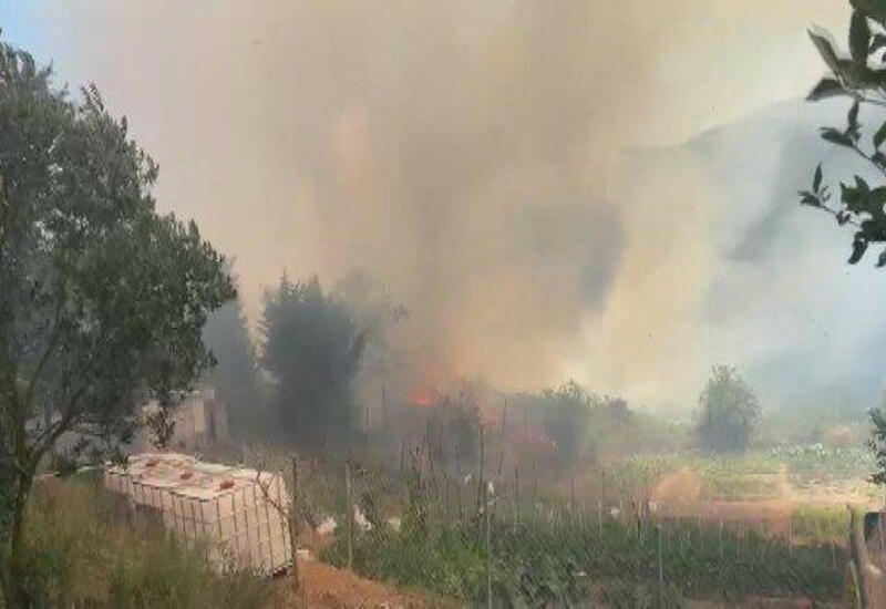 В Стамбуле вспыхнул лесной пожар