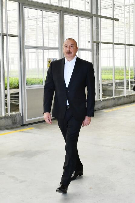 Президент Ильхам Алиев и Первая леди Мехрибан Алиева ознакомились с предприятием ООО Grand-Agro Invitro и приняли участие в открытии перерабатывающего завода ООО Azbadam