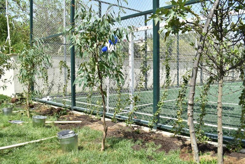“Bizim həyət” layihəsi çərçivəsində Sabunçu rayonunda növbəti həyət abadlaşdırılıb