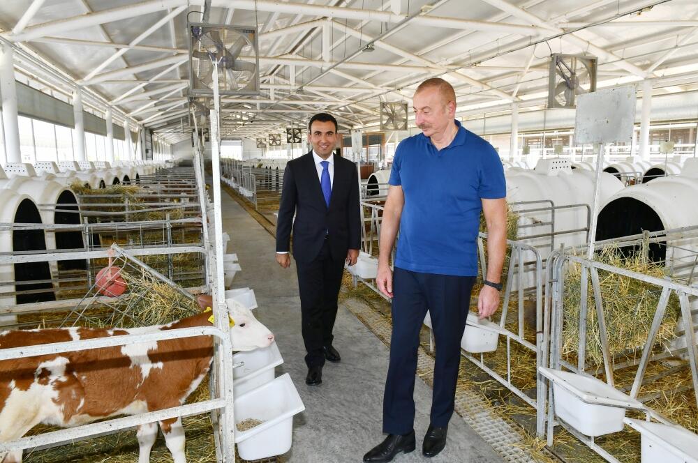Президент Ильхам Алиев ознакомился с деятельностью Агсуинского агропарка