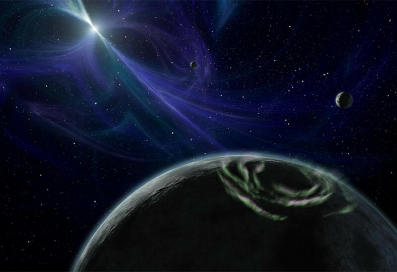 NASA запустит первую биологическую космическую миссию Artemis I