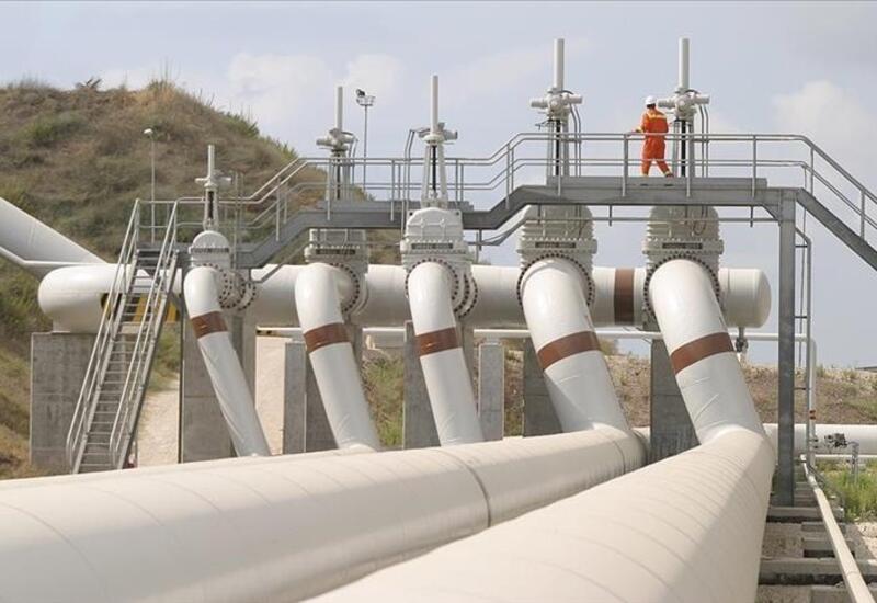 Объем транспортированной по БТД нефти вырос