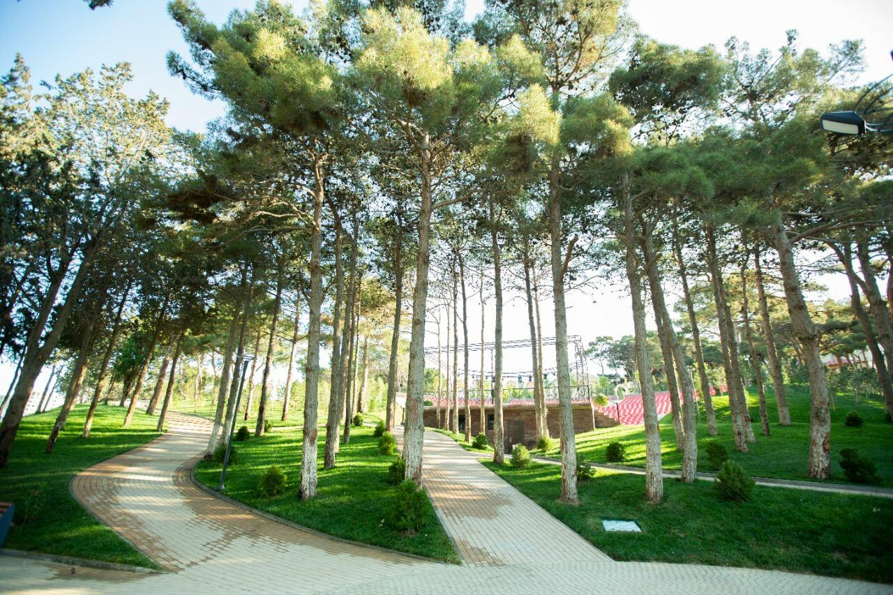 Heydər Parkı yenidənqurma işlərindən sonra istifadəyə verilib