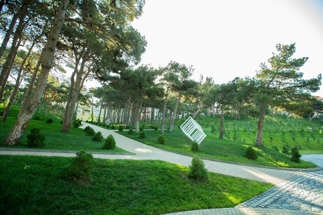 Heydər Parkı yenidənqurma işlərindən sonra istifadəyə verilib