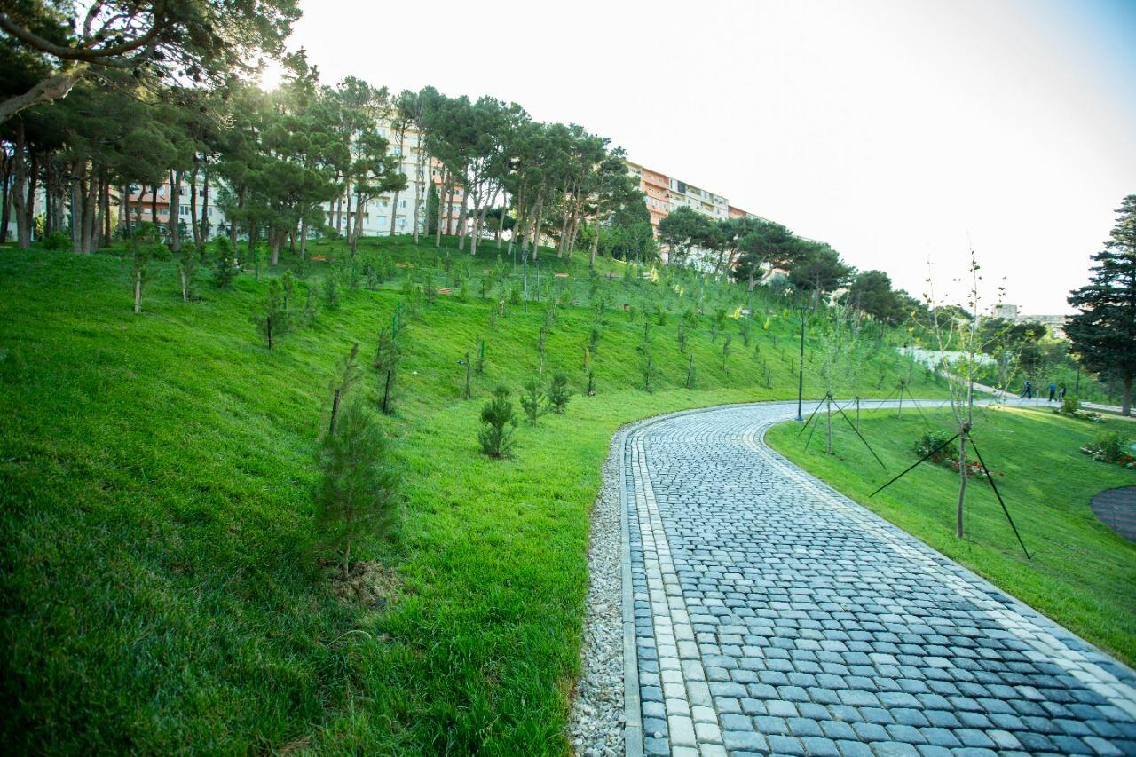 Heydər Parkı yenidənqurma işlərindən sonra istifadəyə verilib
