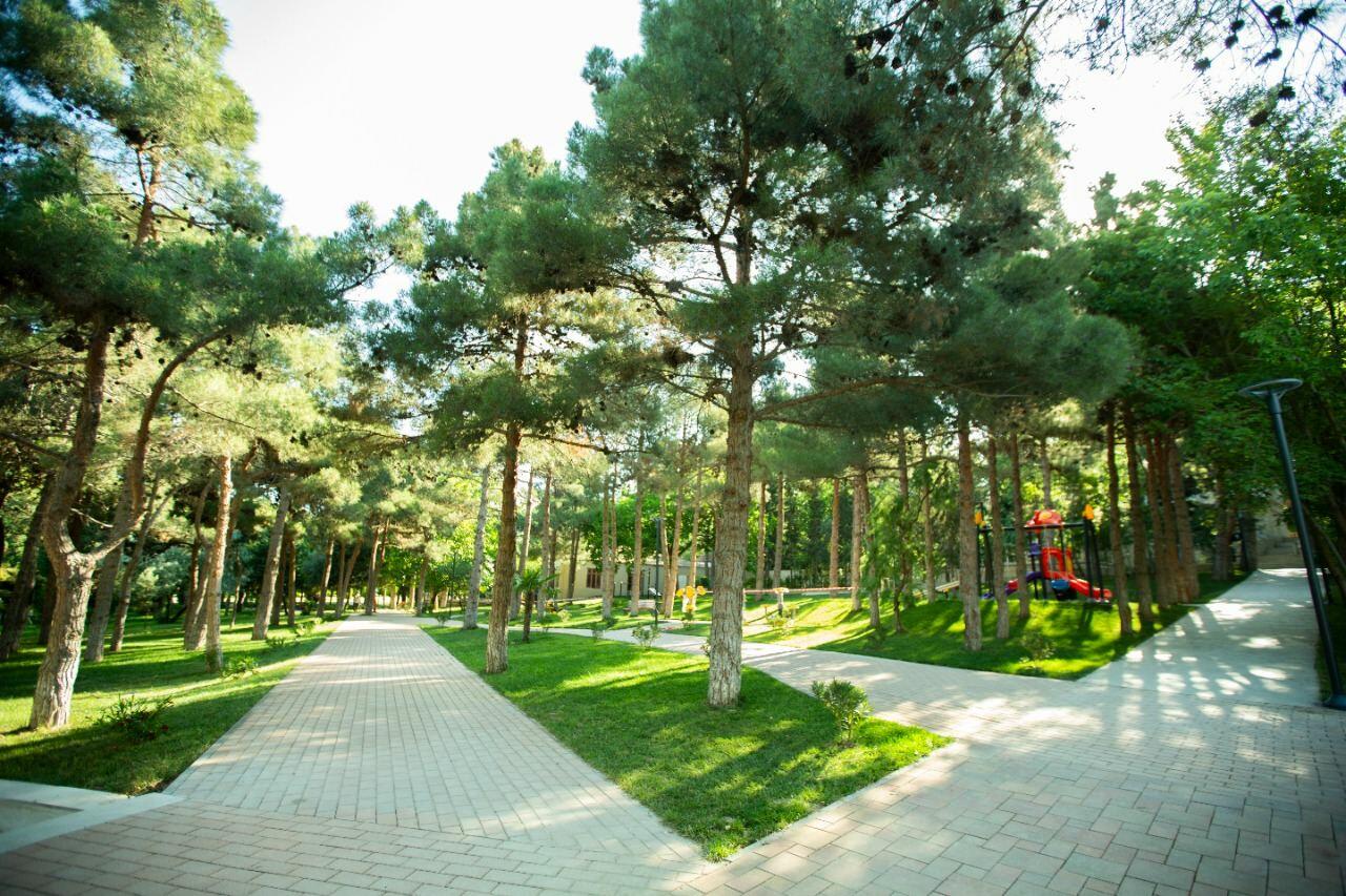 Heydər Parkı yenidənqurma işlərindən sonra istifadəyə verilib