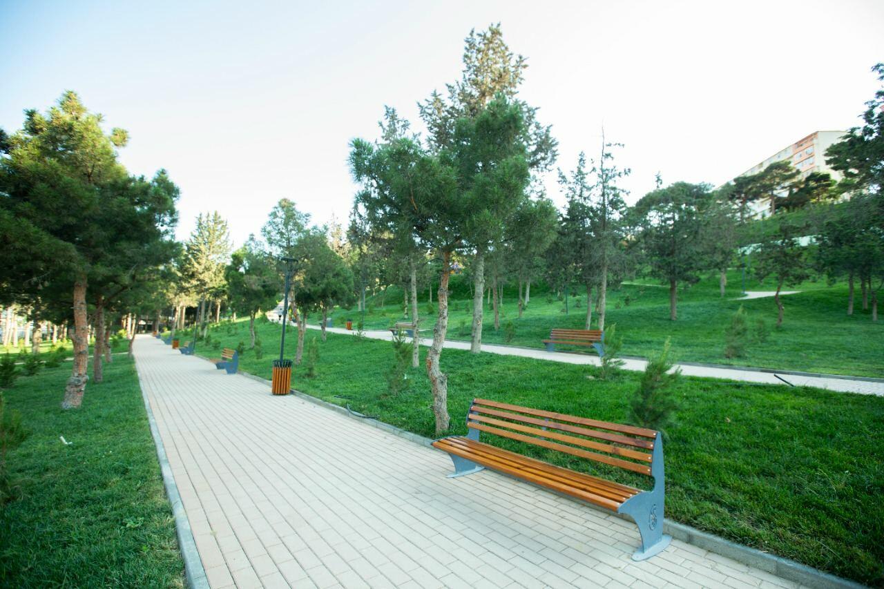 Heydər Parkı yenidənqurma işlərindən sonra istifadəyə verilib
