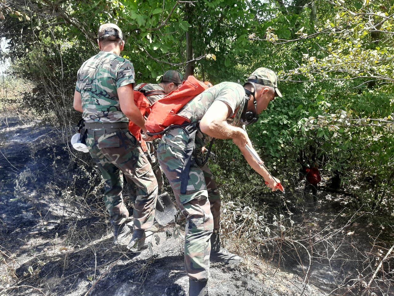 Для тушения лесных пожаров в Хачмаз прибыл пожарный поезд