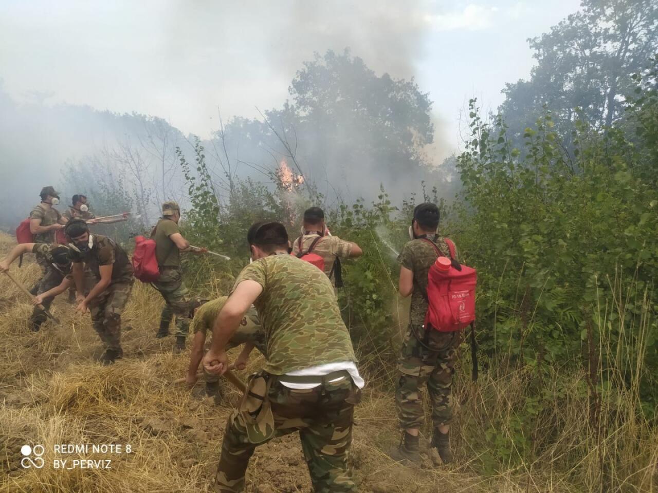 В Азербайджане продолжается тушение лесных пожаров