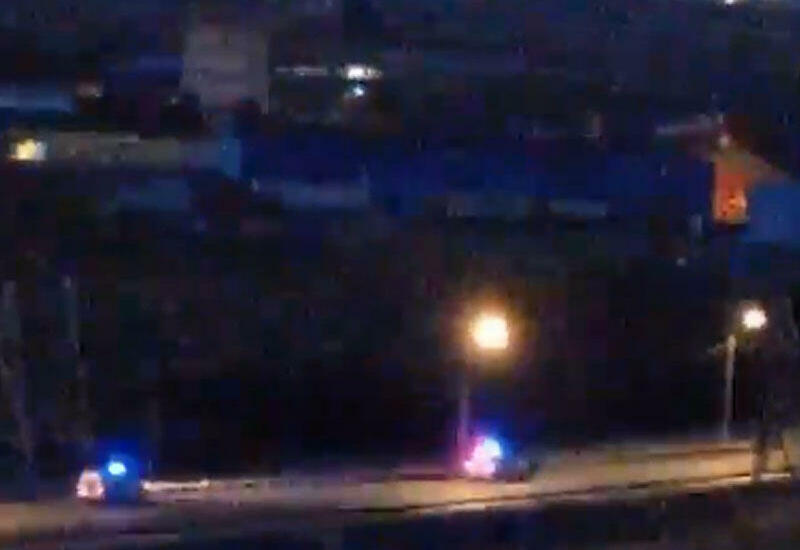 Ayı şəhərə girib aləmi bir-birinə qatdı