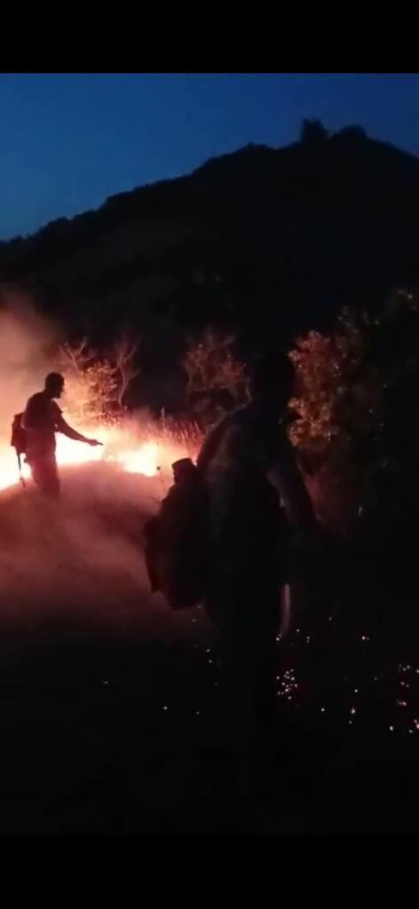 Пожары в Сиязанском и Шабранском районах полностью потушены