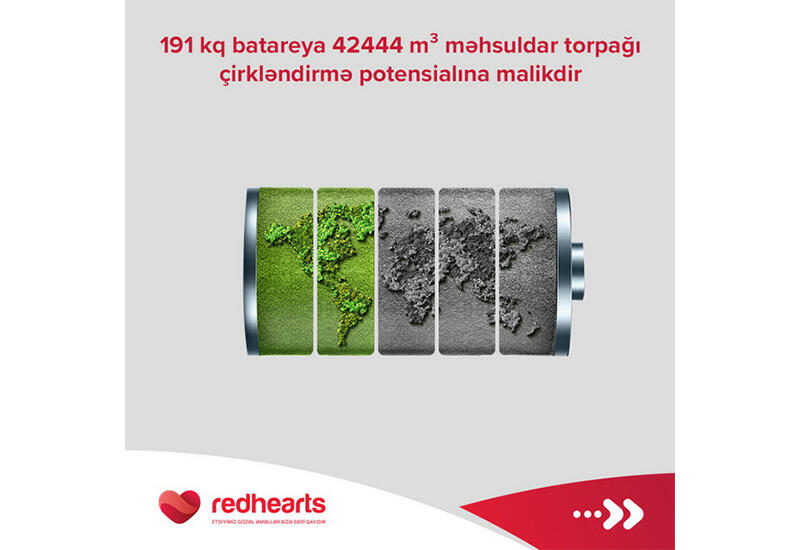 Red Hearts собрал около 200 кг использованных батареек