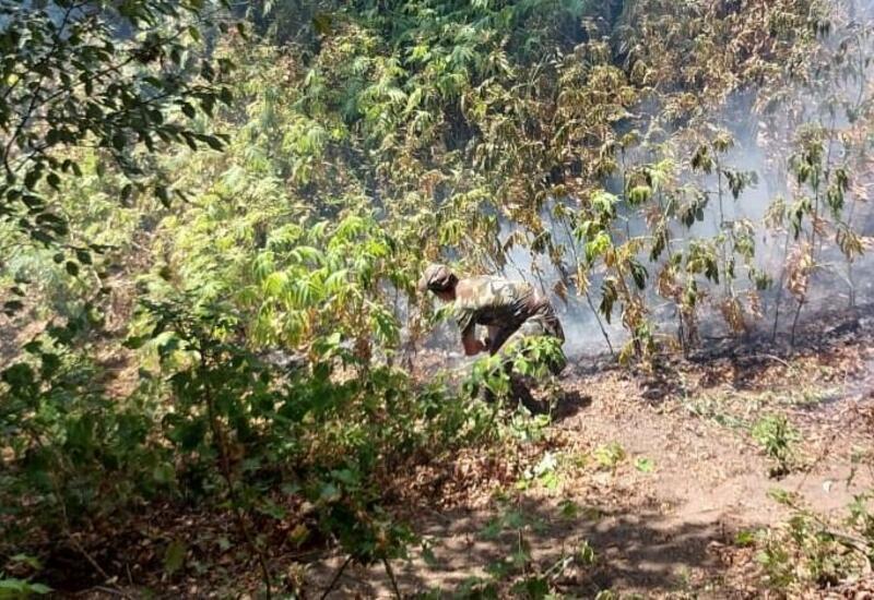 Zaqatalada baş verən yanğının yayılmasının qarşısı alınıb