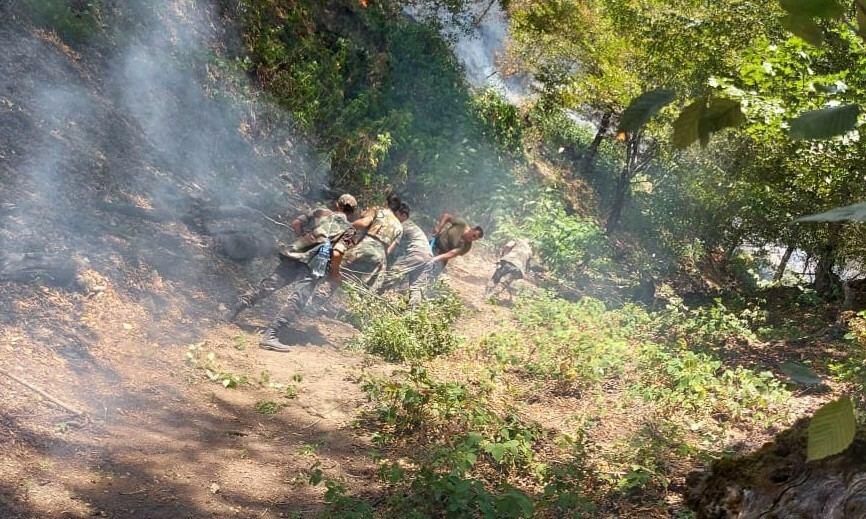 Zaqatalada baş verən yanğının yayılmasının qarşısı alınıb