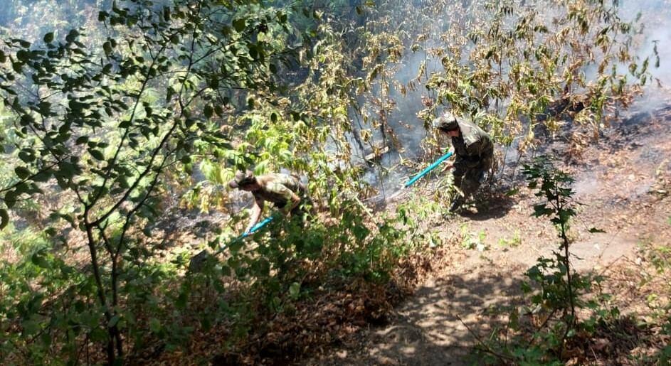 Zaqatalada baş verən yanğının yayılmasının qarşısı alınıb