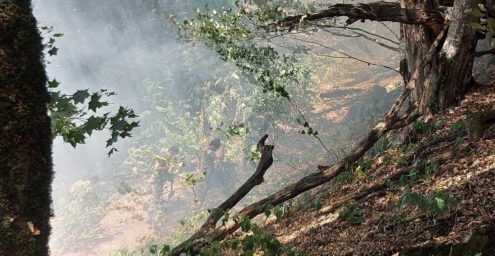 Zaqatalada baş verən yanğının yayılmasının qarşısı alınıb
