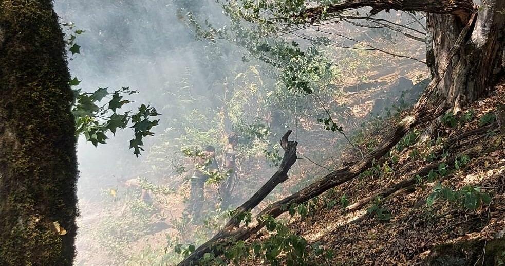 Zaqatalada baş verən yanğının yayılmasının qarşısı alınıb