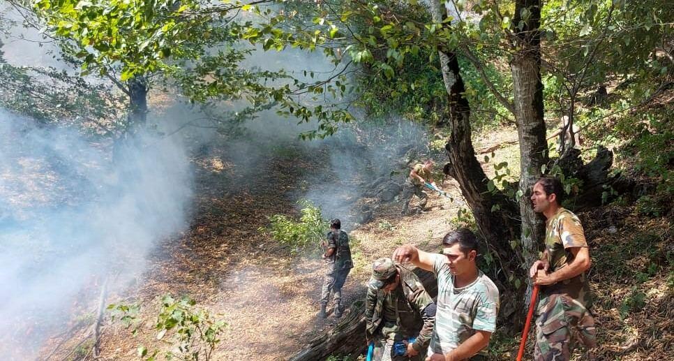 Zaqatalada baş verən yanğının yayılmasının qarşısı alınıb