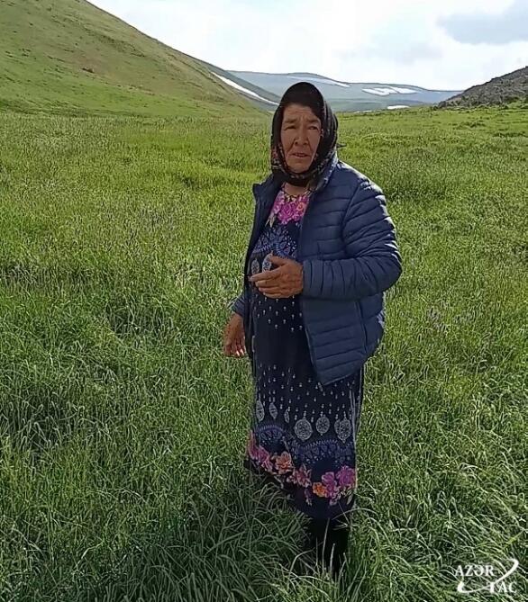 68-летняя Кеклик Ахмедова спустя много лет вновь привела свои стада на кяльбаджарский эйлаг