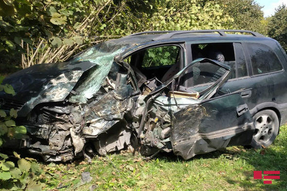 В Загатале автомобиль врезался в дерево
