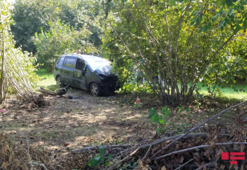 В Загатале автомобиль врезался в дерево
