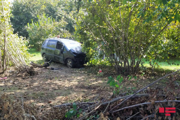 В Загатале автомобиль врезался в дерево