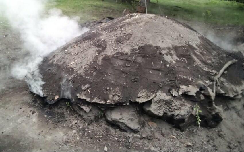 В Исмаиллы пресечено незаконное производство древесного уголя