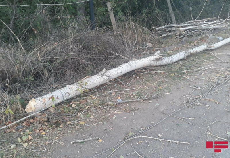 Возобновлена подача электроэнергии в села Товуза