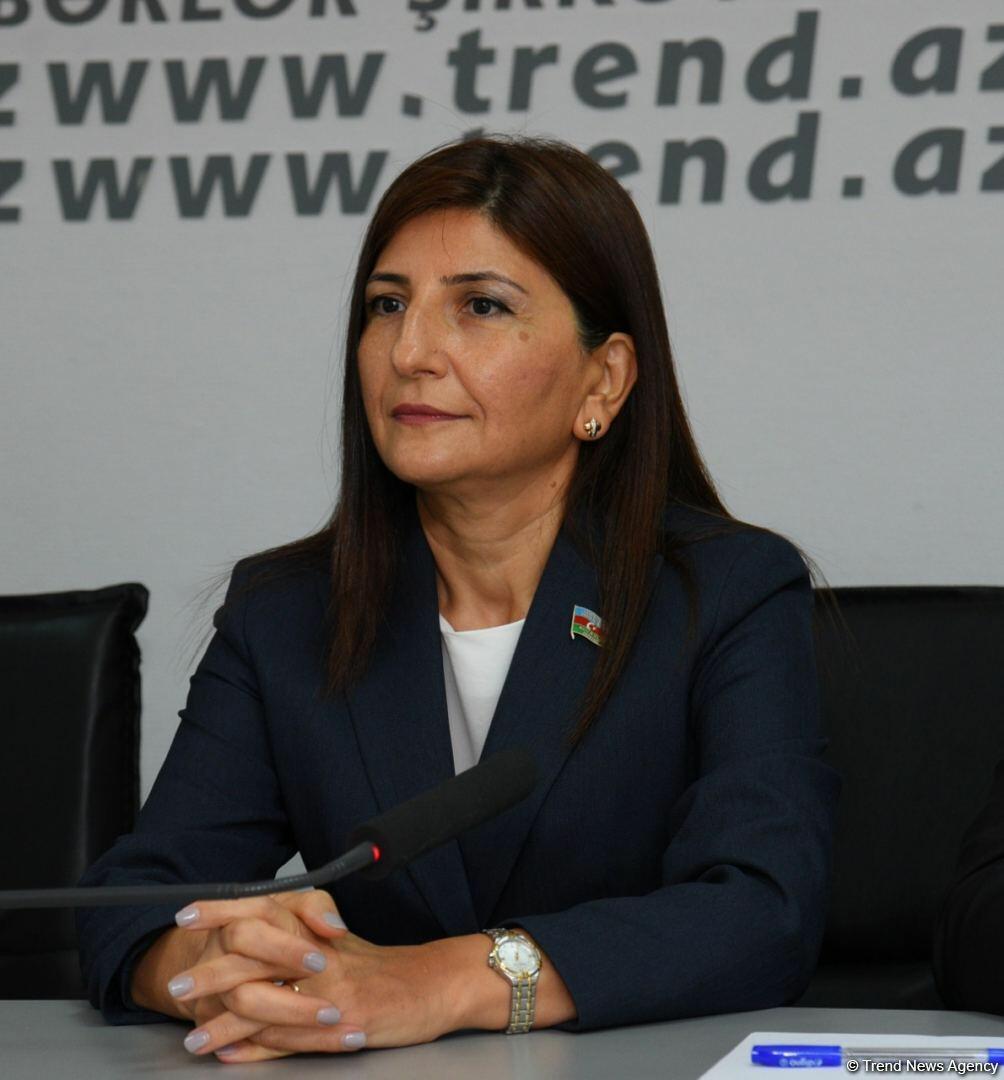 DHA и АМИ Trend запускают новые проекты - подписаны соглашения