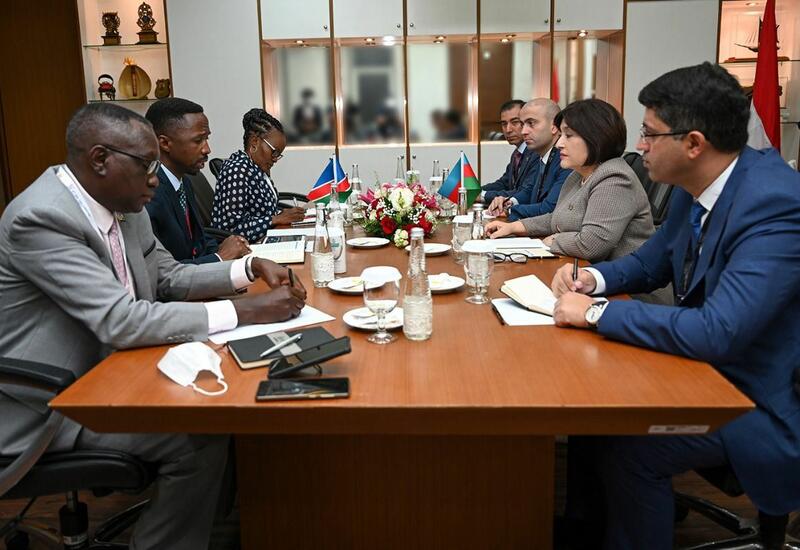 Sahibə Qafarova Cakartada Namibiya Milli Şurasının sədri ilə görüşüb