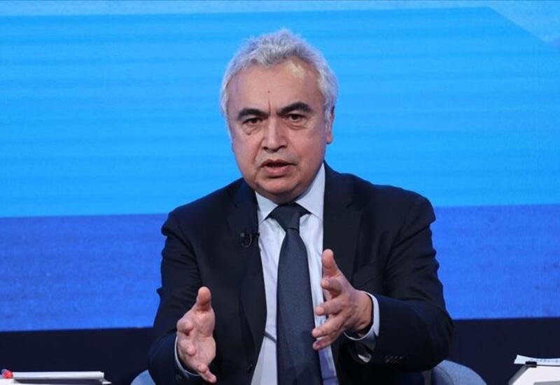Глава МЭА считает, что Европе хватит запасов газа на зиму