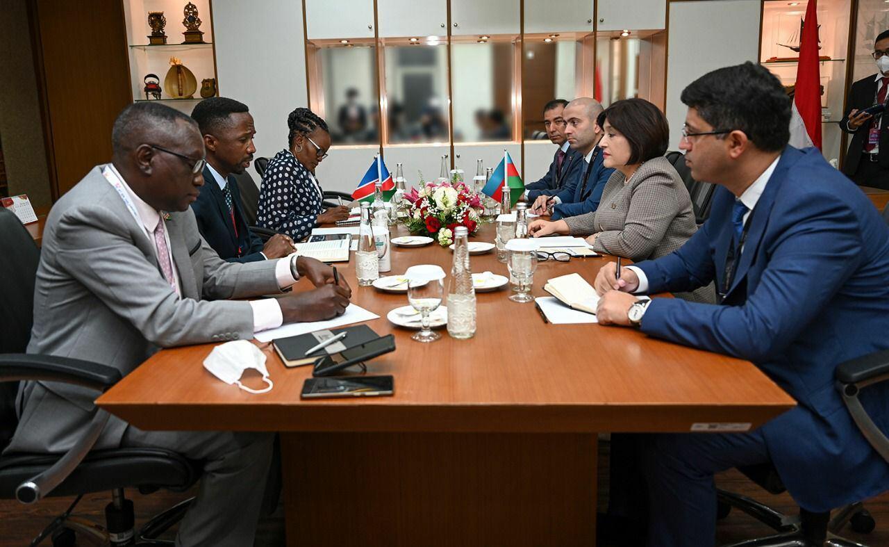 Sahibə Qafarova Cakartada Namibiya Milli Şurasının sədri ilə görüşüb