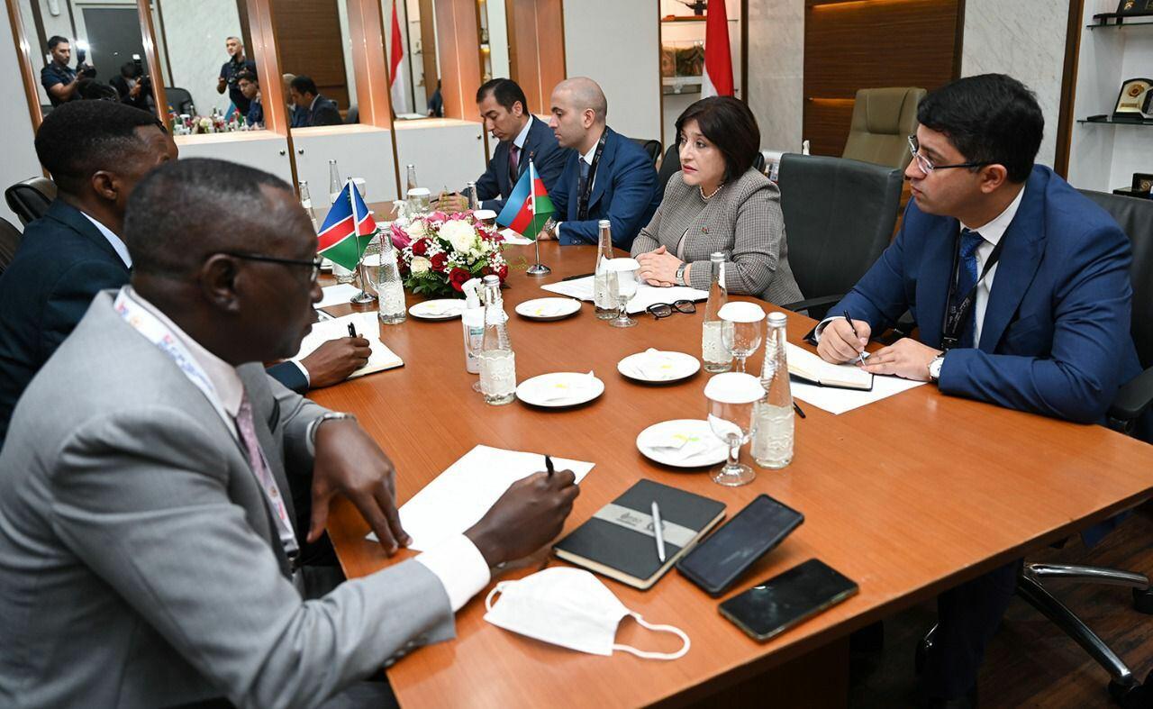 Sahibə Qafarova Cakartada Namibiya Milli Şurasının sədri ilə görüşüb