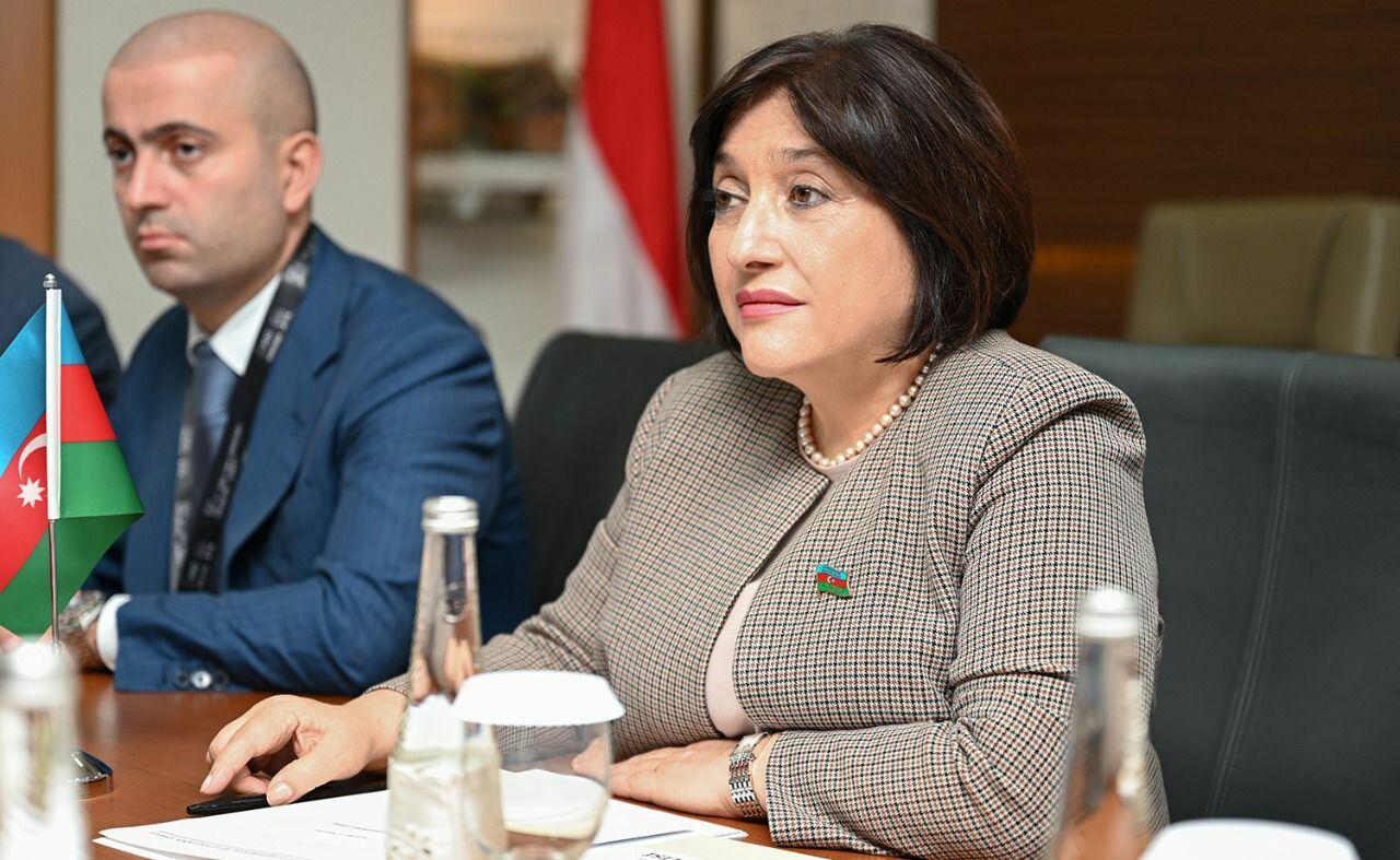 Sahibə Qafarova Cakartada Namibiya Milli Şurasının sədri ilə görüşüb