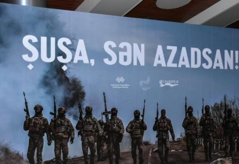 В Москве состоится показ фильма "Шуша, ты свободна!"