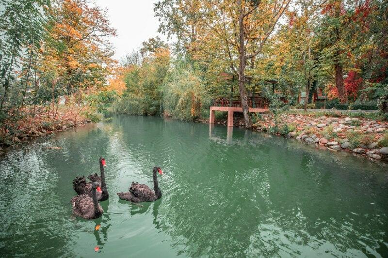 River Inn Resort and SPA oteli Milli Ulduz Təsnifatı çərçivəsində 4 ulduza layiq görülüb