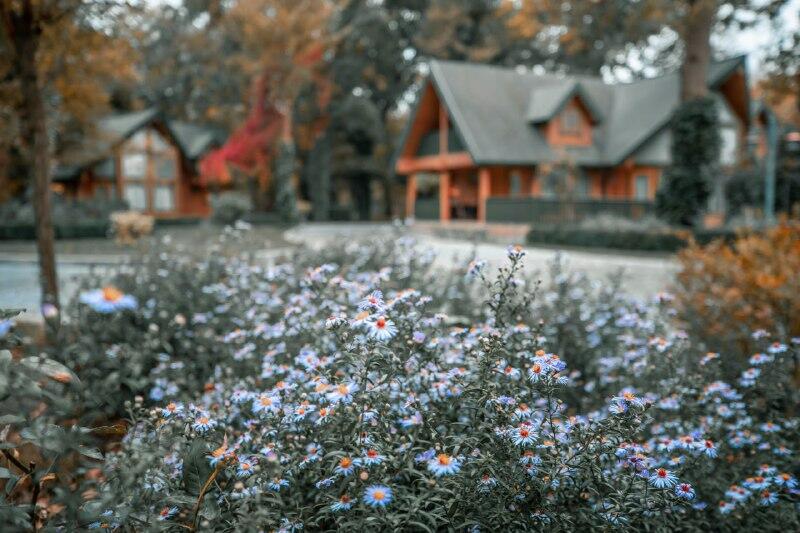 River Inn Resort and SPA oteli Milli Ulduz Təsnifatı çərçivəsində 4 ulduza layiq görülüb