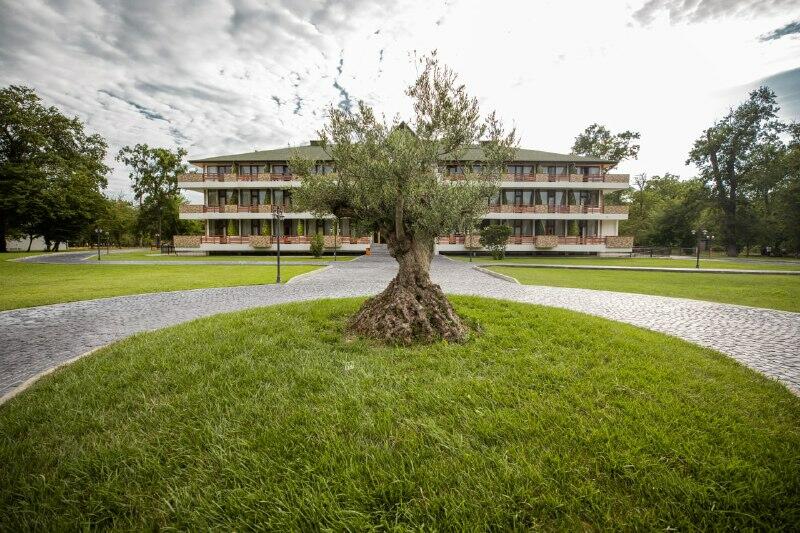 River Inn Resort and SPA oteli Milli Ulduz Təsnifatı çərçivəsində 4 ulduza layiq görülüb