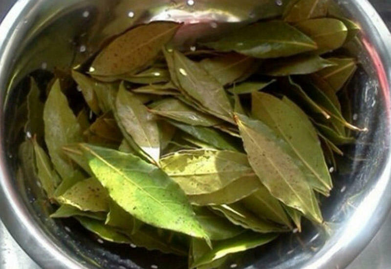 Dəfnə yarpağının faydaları və müalicəvi xüsusiyyətləri