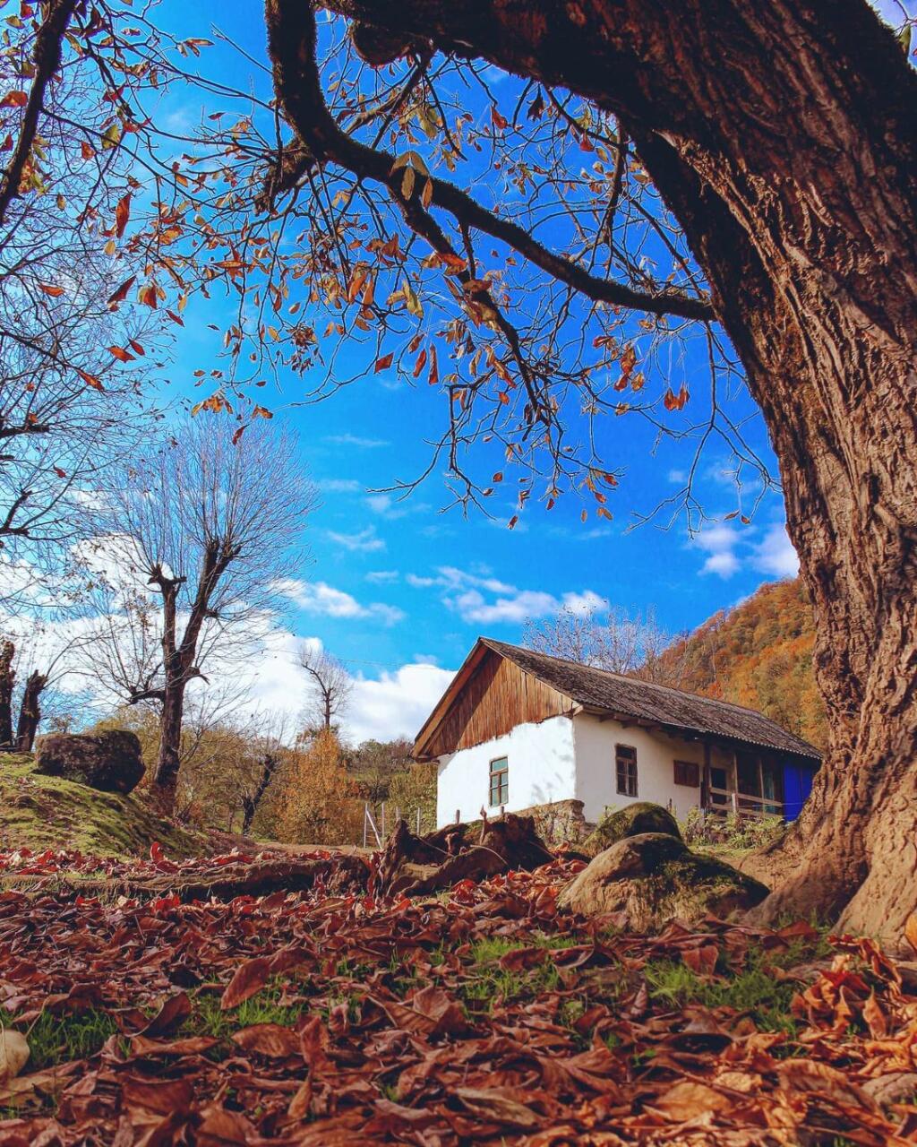 Невероятные осенние краски Астары