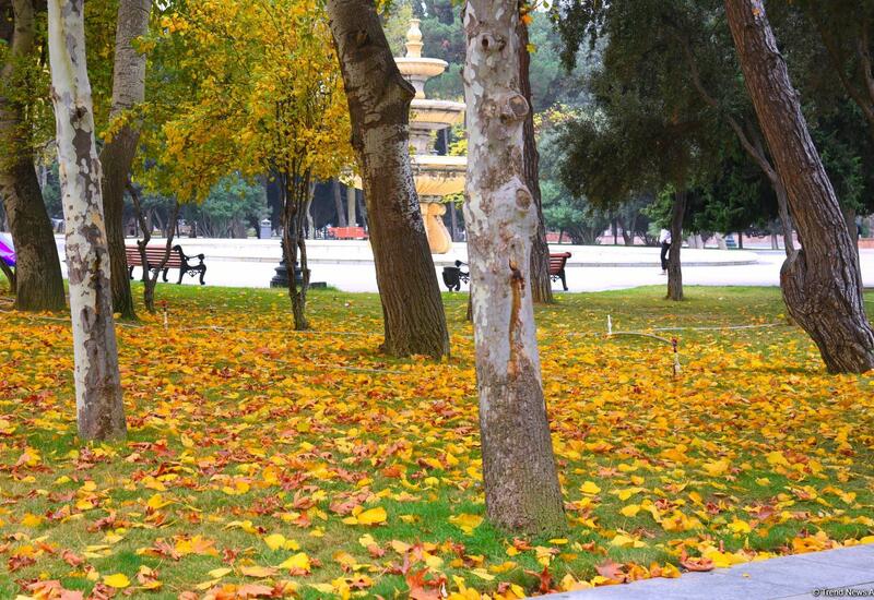 Noyabr ayına olan hava proqnozu