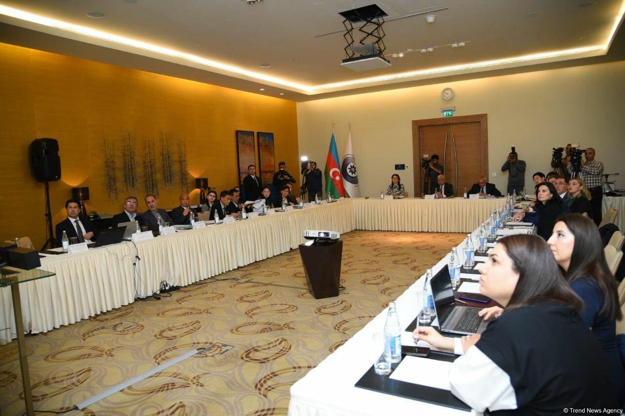 Səbinə Əliyevanın Ombudsman kimi fəaliyyətindən 3 il ötür